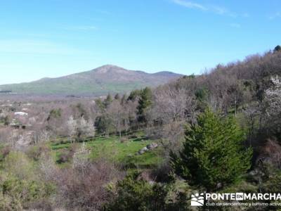 El Puerto del Reventón - San Ildefonso - Rascafria; sendero sulayr